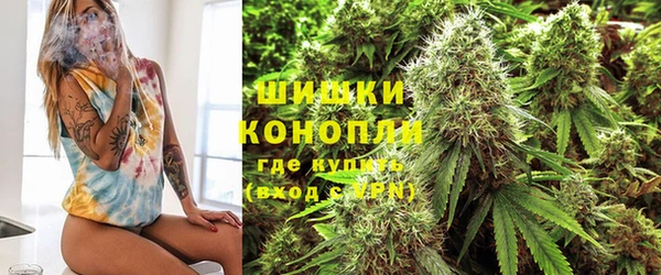 скорость Алзамай